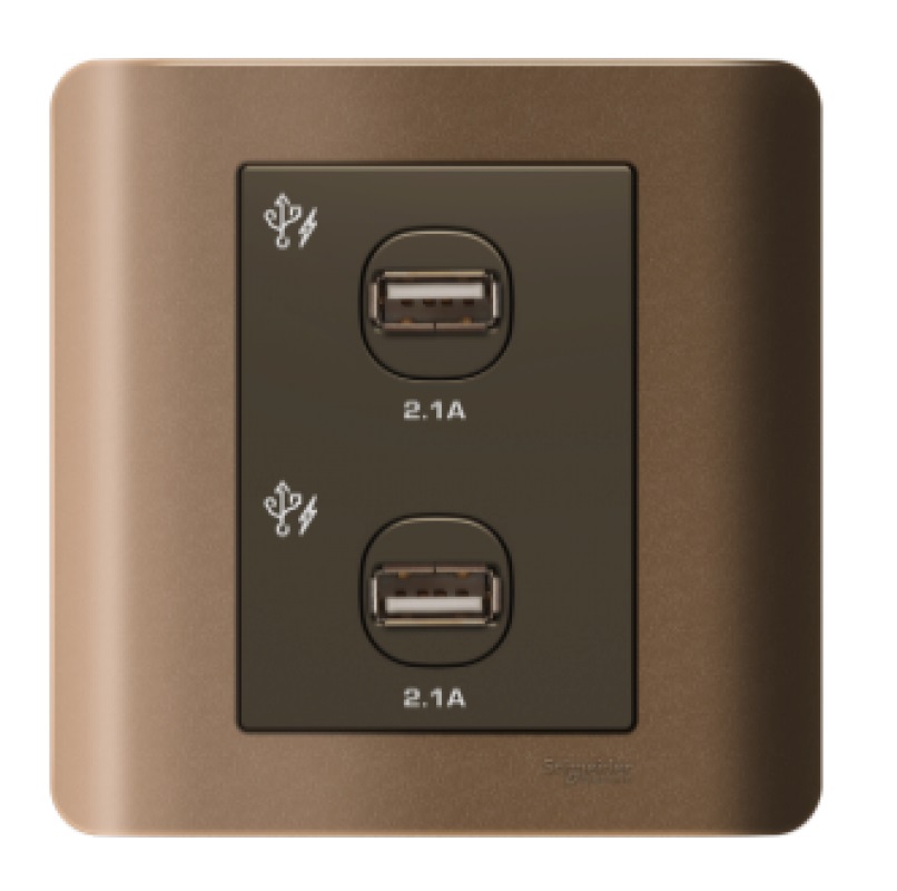 SCHNEİDER ZENCELO 2x2.1A USB BİRLƏŞDİRİCİSİ 