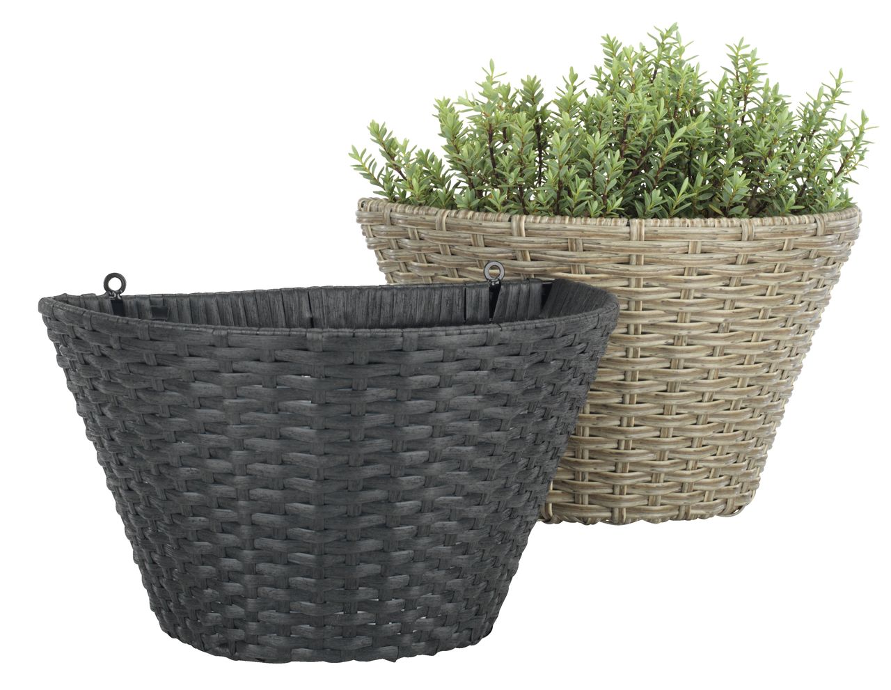 6400601 Dibçək REDDİK 