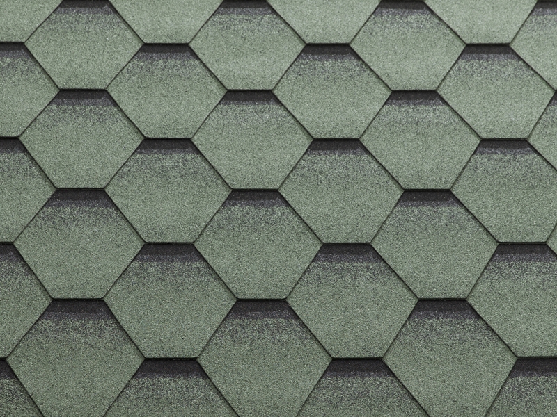 KATEPAL KATRİLLİ LİCHEN 